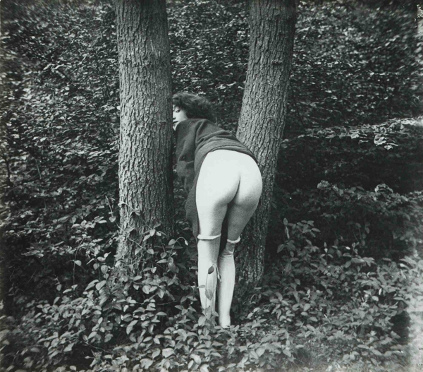 fesses nues d'une femme dans la forêt